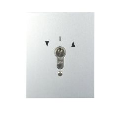 S-EPZ 1-2T/1 Interrupteur à clé encastré 2 côtés à impulsion/à accroche